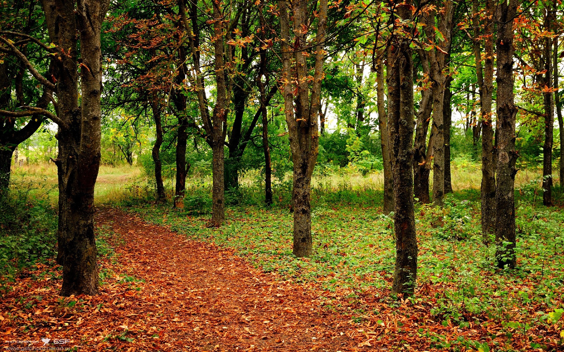 乐鱼体育平台官网-中国三人女篮适应国际比赛节奏 技术更成熟，中国三人女篮百度百科