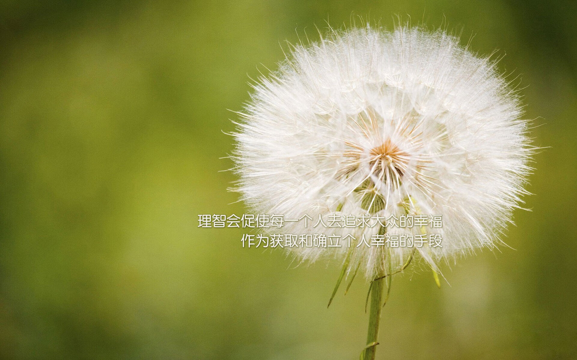 中小学运动会多地同步举行展现青春风采,中小学的运动会在什么时候