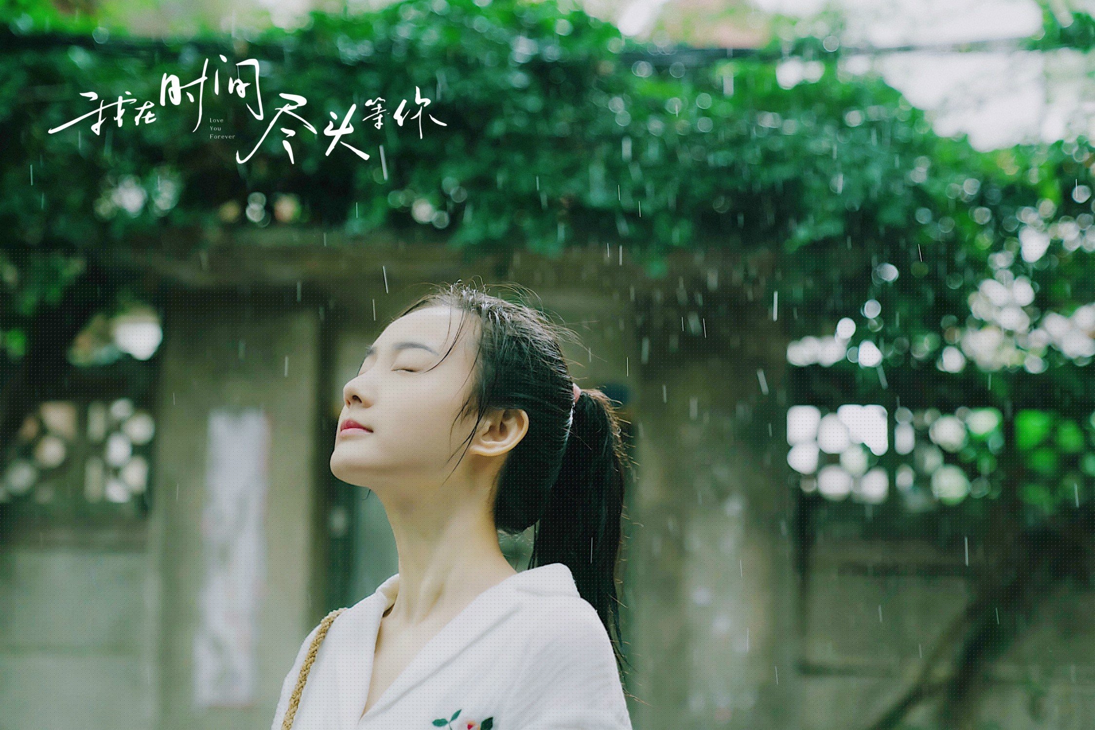 中超联赛中国队逆袭 球员表现备受认可,2021中超队伍