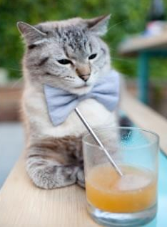 国际热身赛中国队夺冠 技术打法备受称赞，国际热身赛赛程