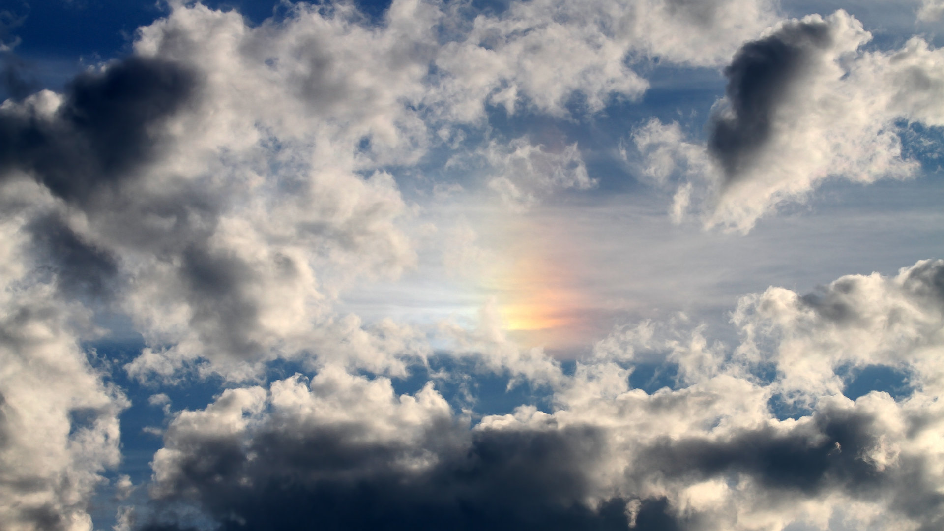 乐鱼体育app官网入口-蝶泳转身动作连贯度评分前五公布，蝶泳转身技术