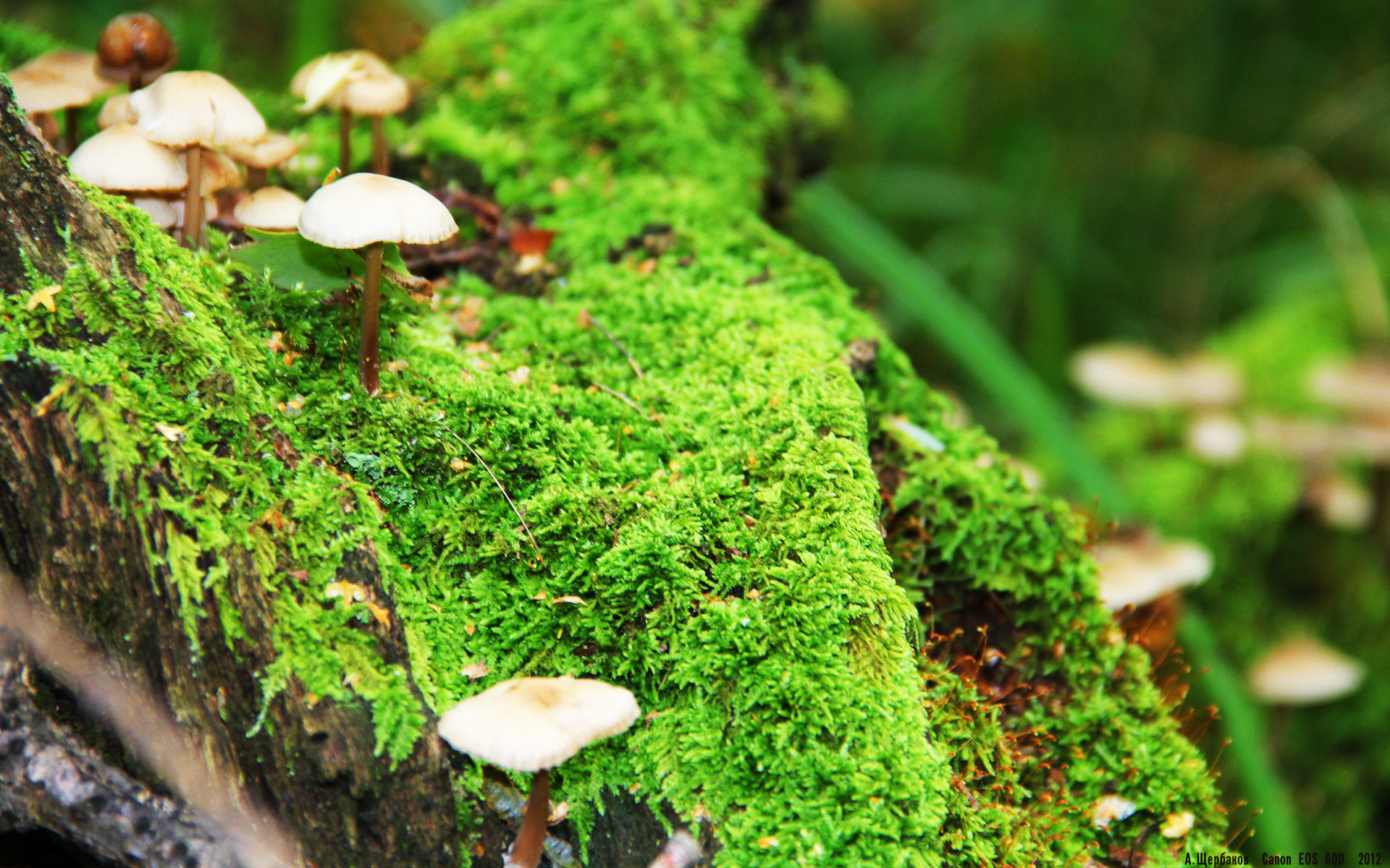 乐鱼体育app官网-中甲球队通过球员自评机制加强训练反馈机制