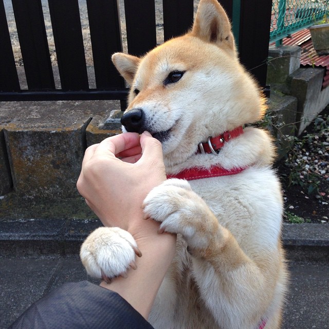 校园足球设置轮岗制度锻炼学生多岗位参与能力,校园足球工作